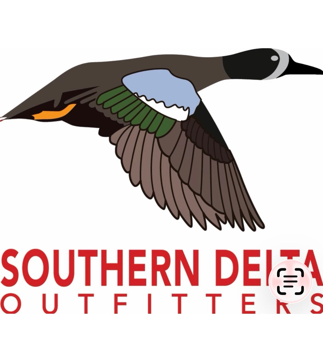 Teal Hunt